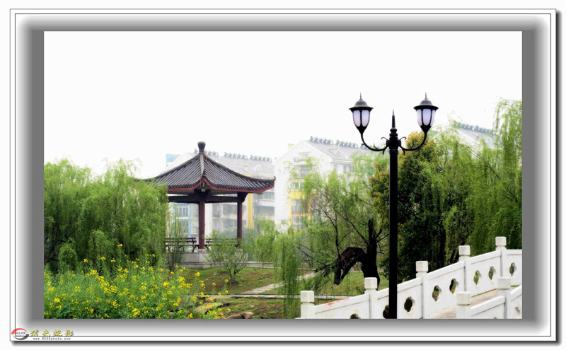 IMG_0065_副本_副本.jpg