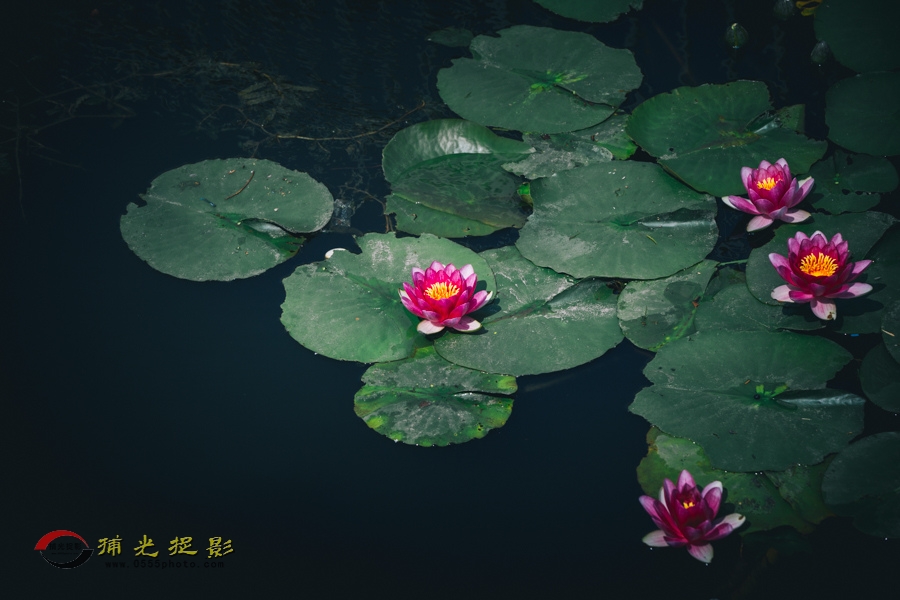 A59A0026-1_副本.jpg