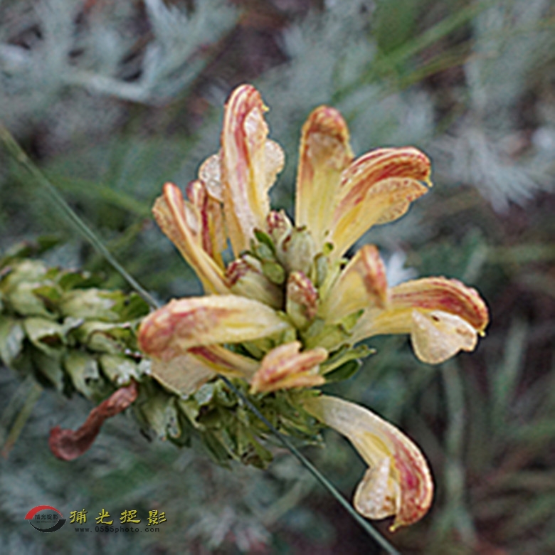 DSC02013_副本.jpg