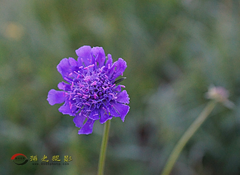 DSC02005_副本.jpg