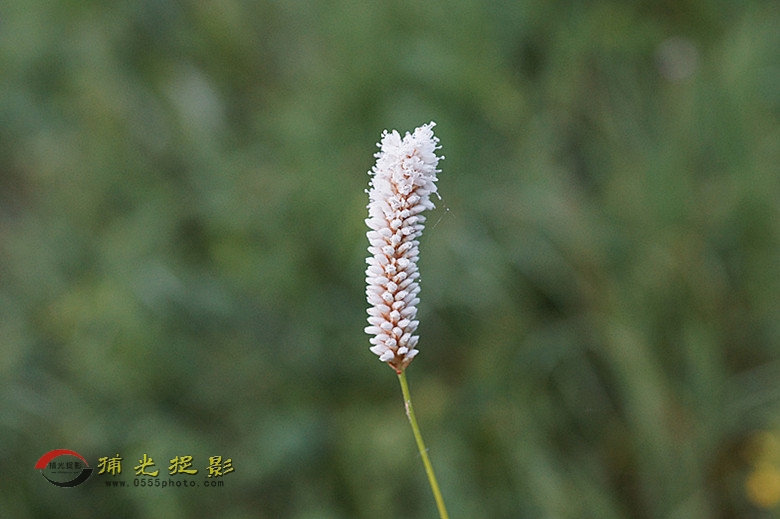 DSC01998_副本.jpg