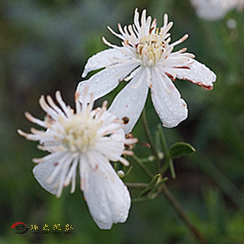 DSC02006_副本.jpg