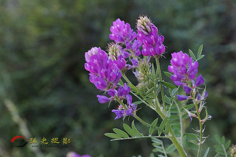 DSC01987_副本.jpg