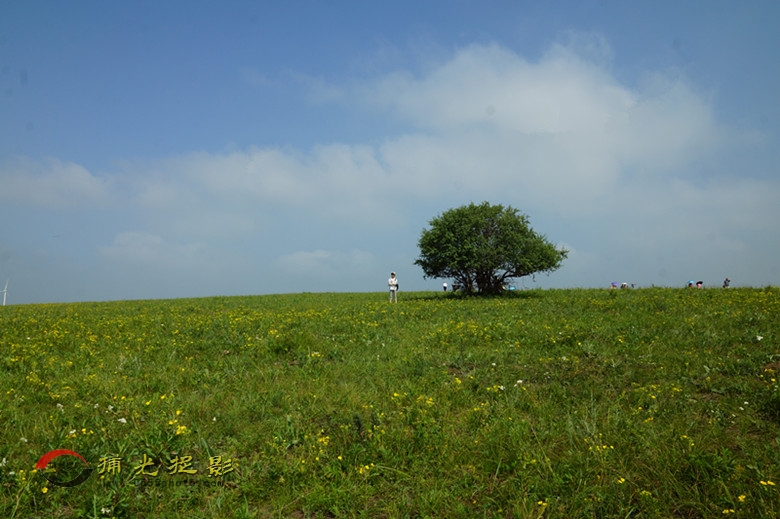DSC02080_副本.jpg