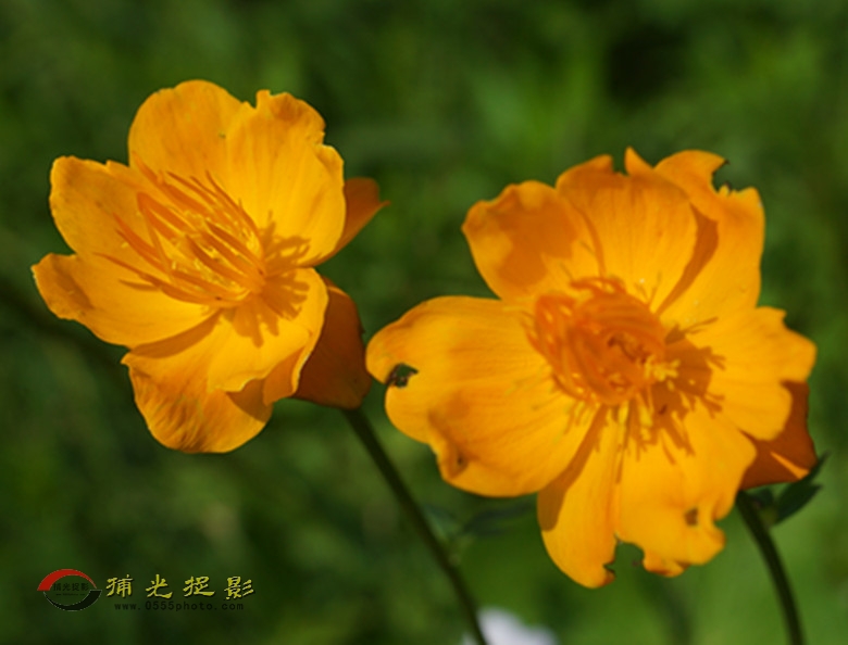 DSC02151_副本.jpg
