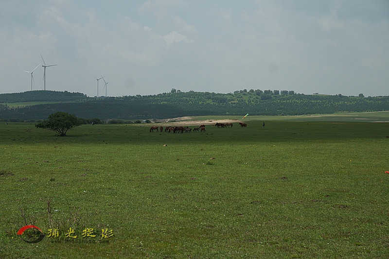 DSC02161_副本.jpg