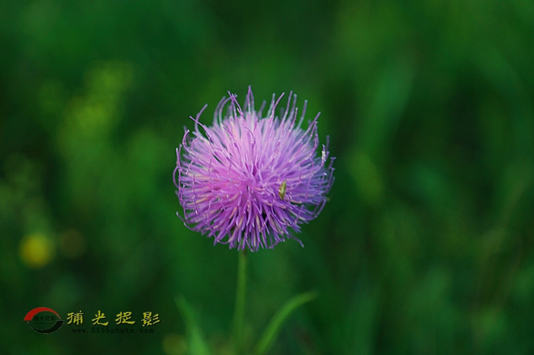 DSC01819_副本.jpg