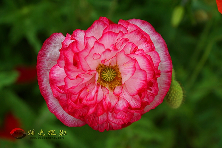 DSC02191_副本.jpg