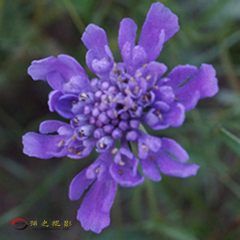 DSC02007_副本.jpg