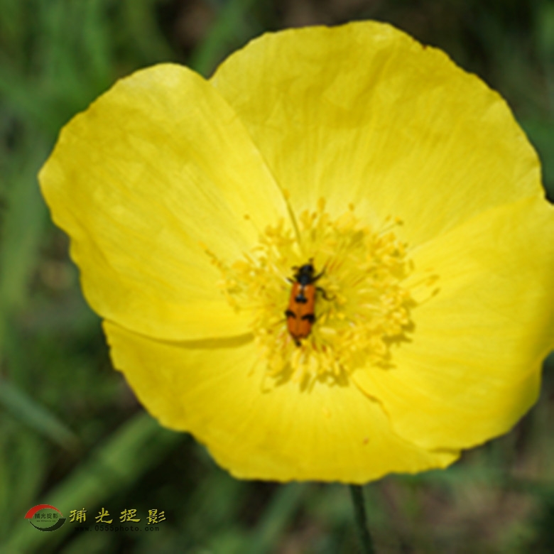 DSC02152_副本.jpg