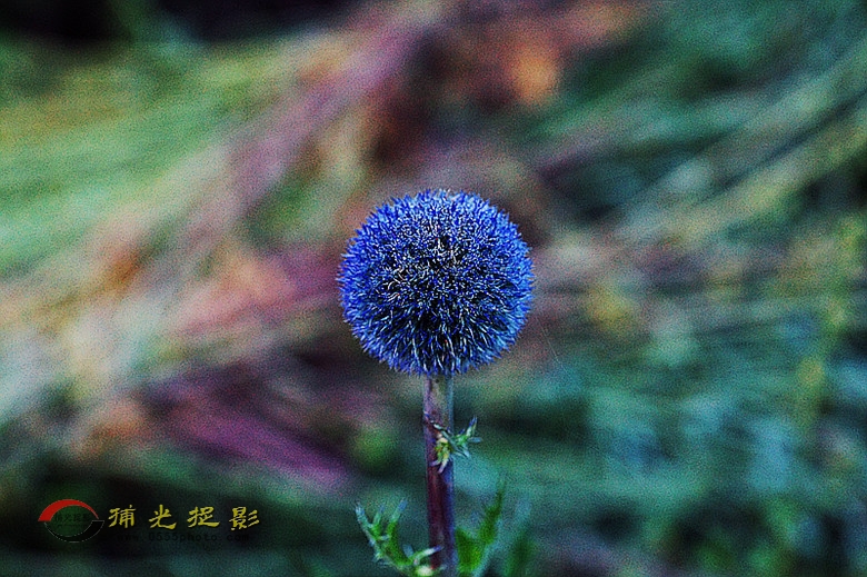 DSC01983_副本.jpg