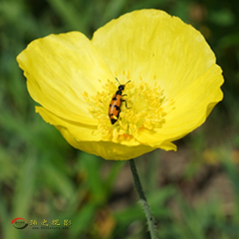 DSC02154_副本.jpg