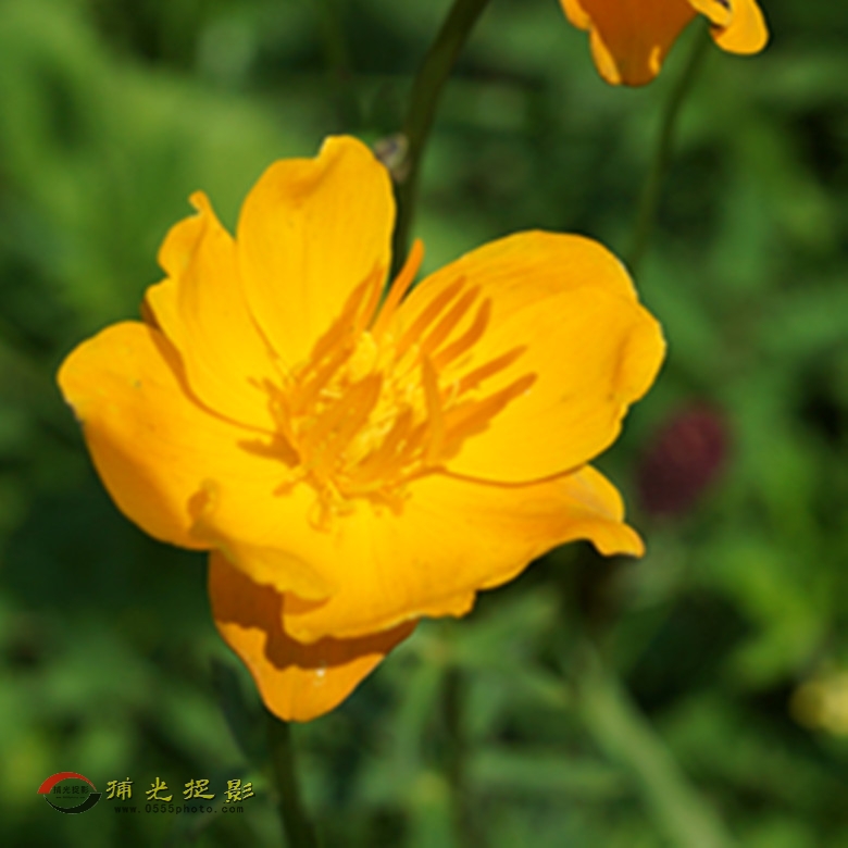 DSC02149_副本.jpg
