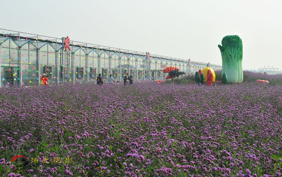 LCL_8873.JPG