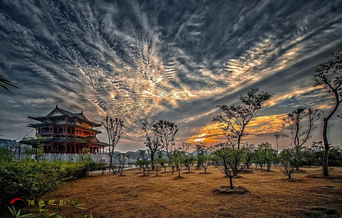 “LMD_0339”为智能对象-1_副本.jpg