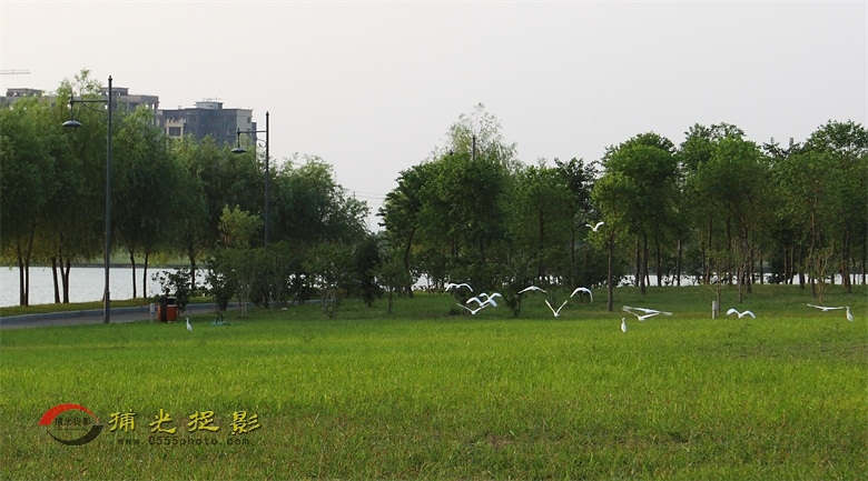 IMG_6930.jpg