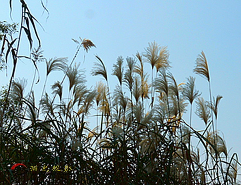 DSC03354_副本.jpg