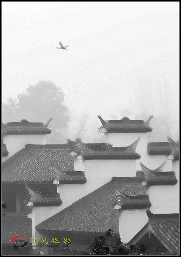 IMG_0238_1_副本.jpg