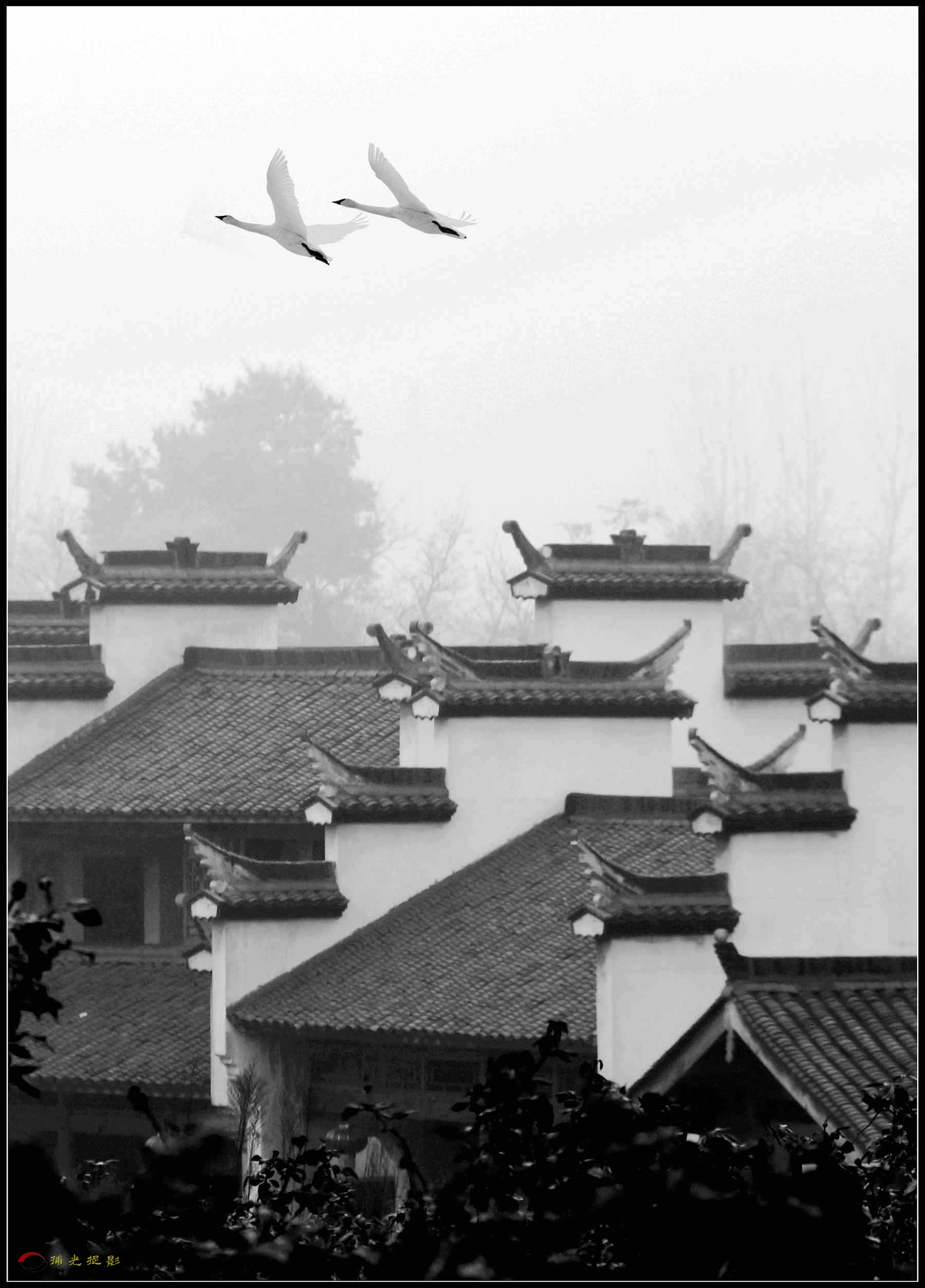 IMG_0238_副本_副本_副本.jpg
