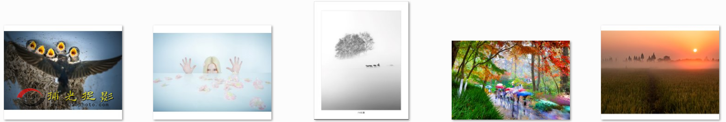 QQ图片20151128160033.png