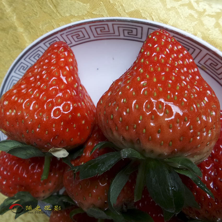 20151219_110106副本.jpg