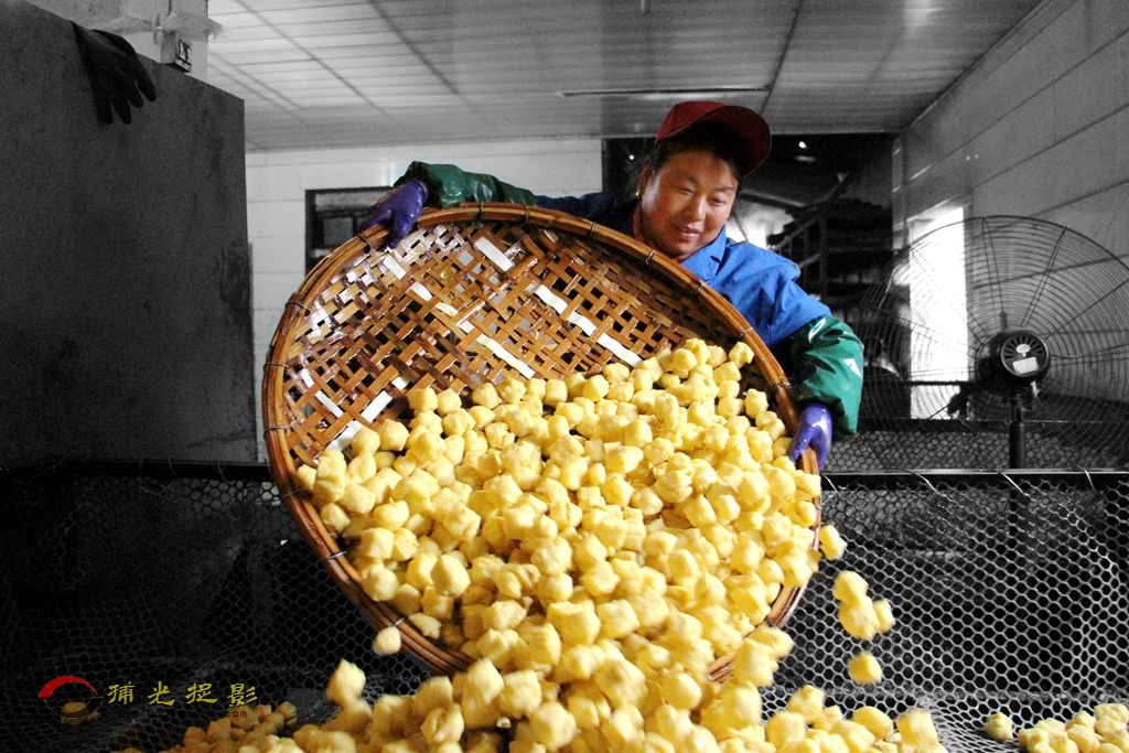 4、油炸风干 (4)_副本_副本.jpg