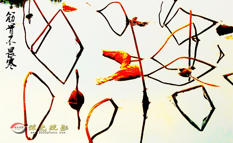 IMG20160113143844_副本_副本.jpg