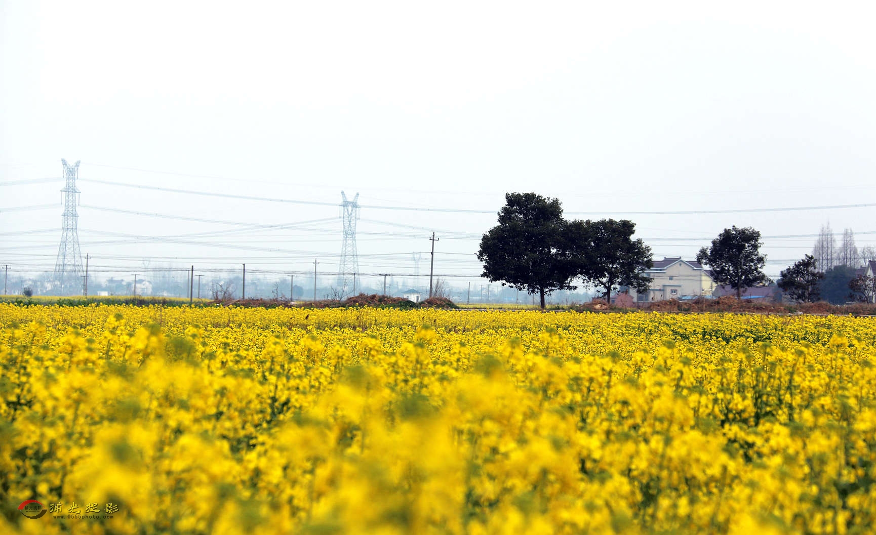 IMG_1531_副本.jpg
