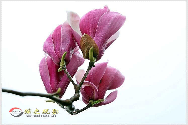 QQ图片20160317103000.jpg