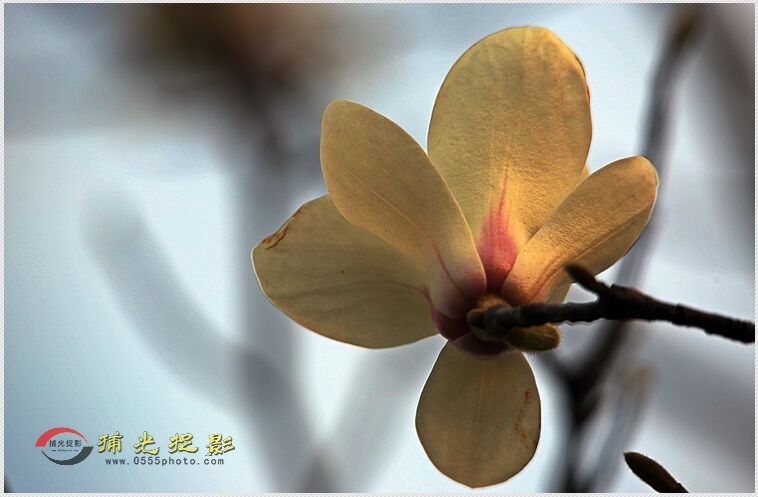 QQ图片20160310201656.jpg