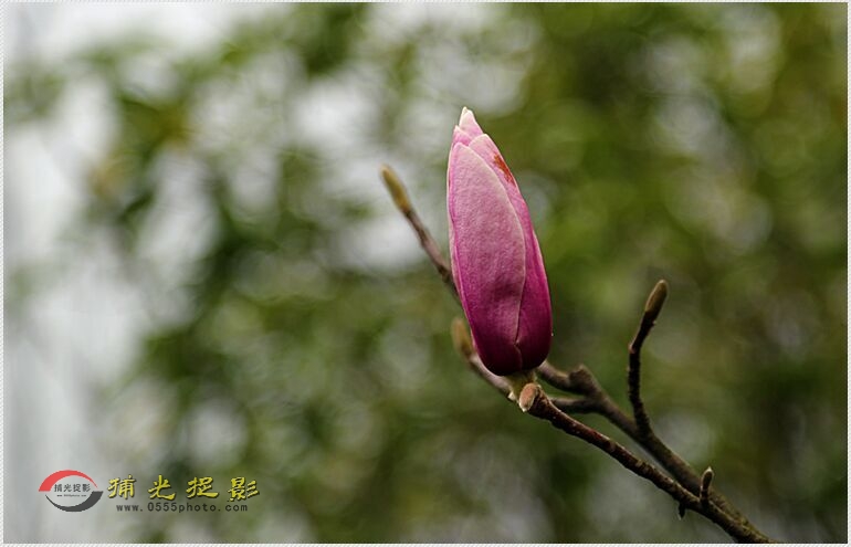 QQ图片20160314220951.jpg