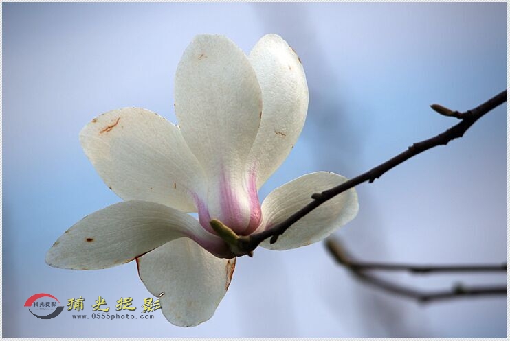 QQ图片20160310201827.jpg