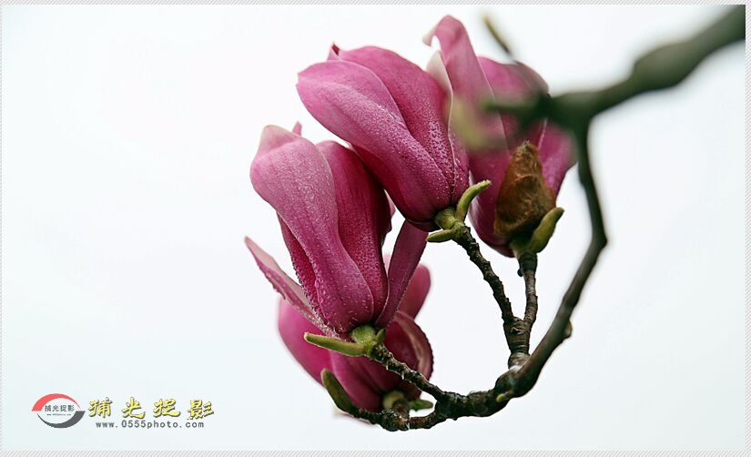 QQ图片20160317103212.jpg