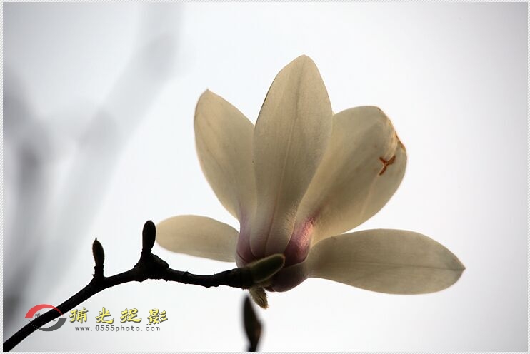 QQ图片20160310202019.jpg