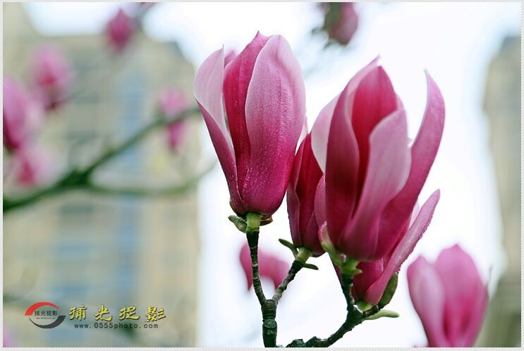 QQ图片20160317102541.jpg