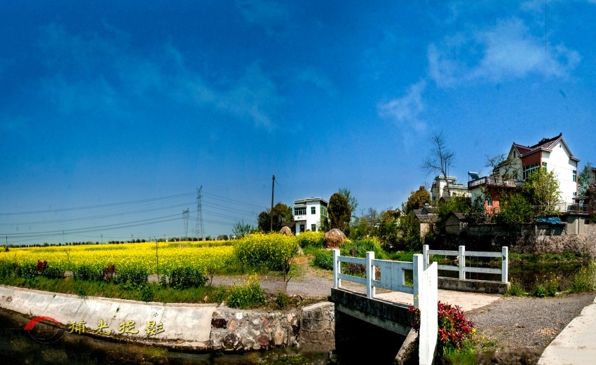 黄池油菜花节拾另