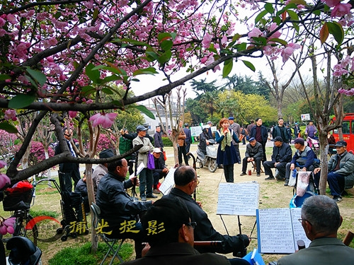 IMG20160322143859_副本.jpg