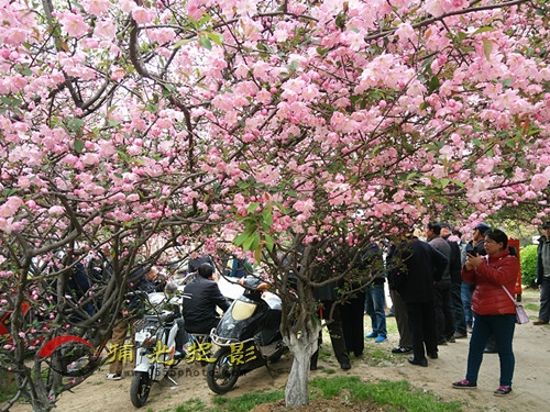 IMG20160322144158_副本.jpg