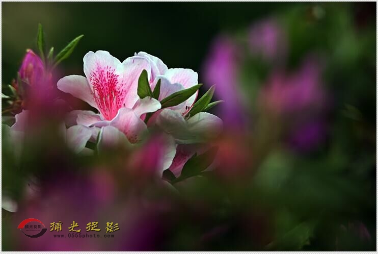 QQ图片20160412165612.jpg