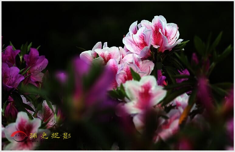 QQ图片20160412170256.jpg