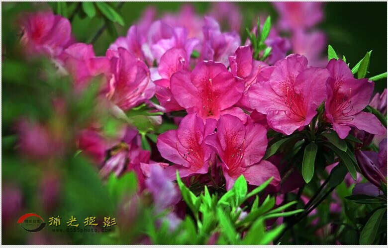 QQ图片20160412170547.jpg