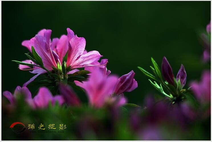 QQ图片20160412171529.jpg