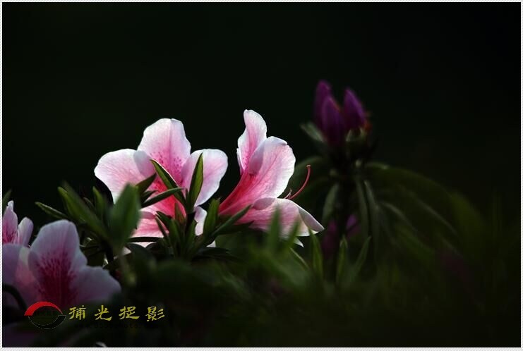 QQ图片20160412171823.jpg