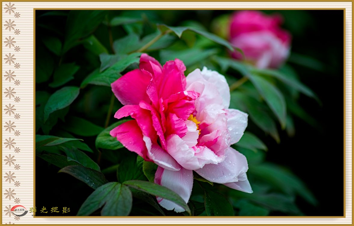 DSC_9834_副本.jpg