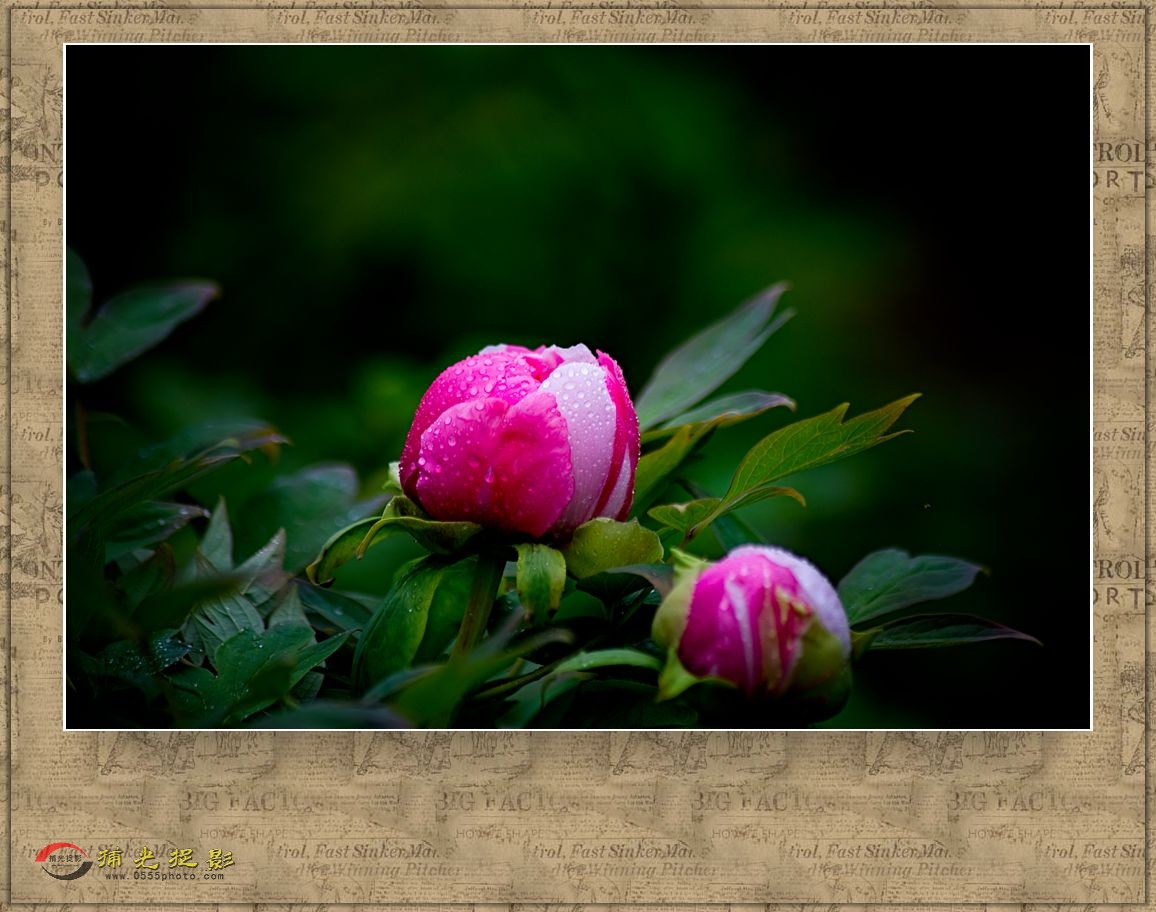 DSC_9783_副本.jpg