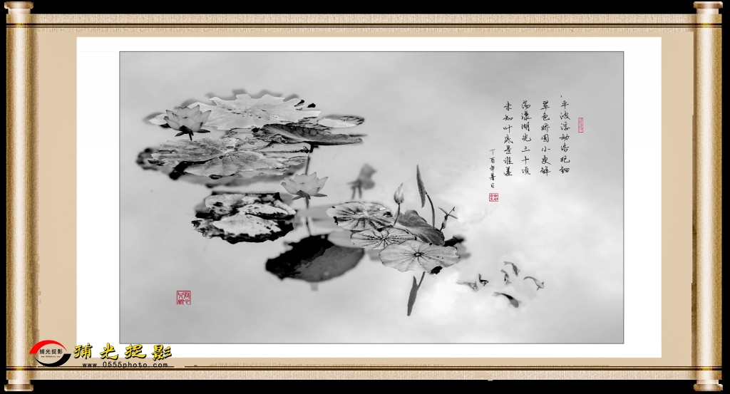 ử