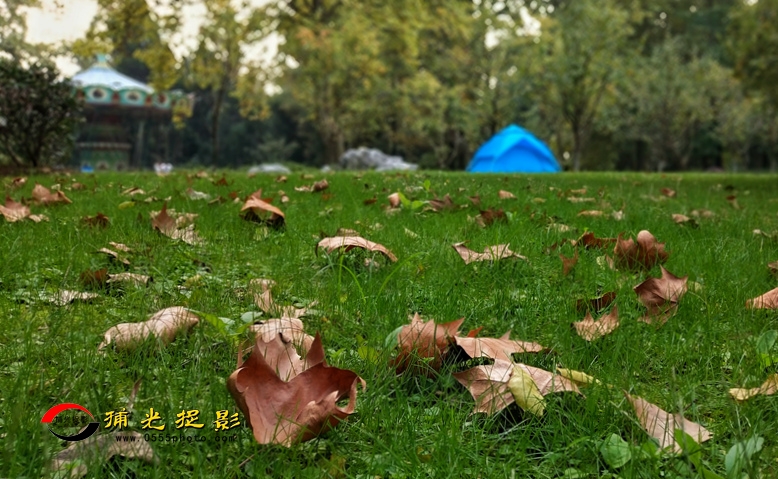 微信图片_20171024120944_副本_副本.jpg