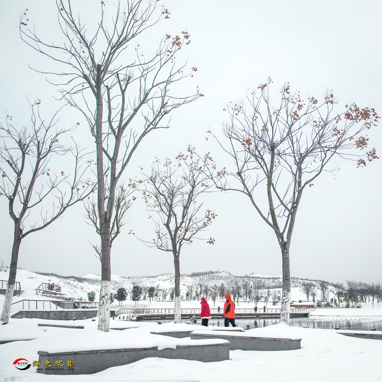 《踏雪》赵月英.jpg