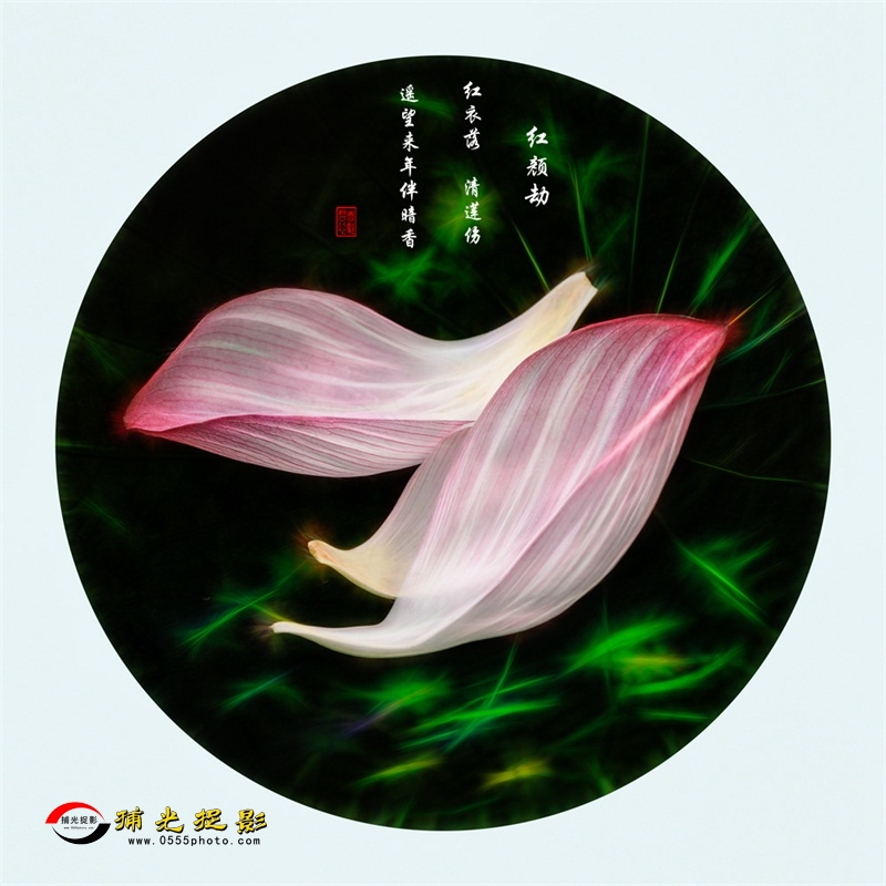 红颜劫