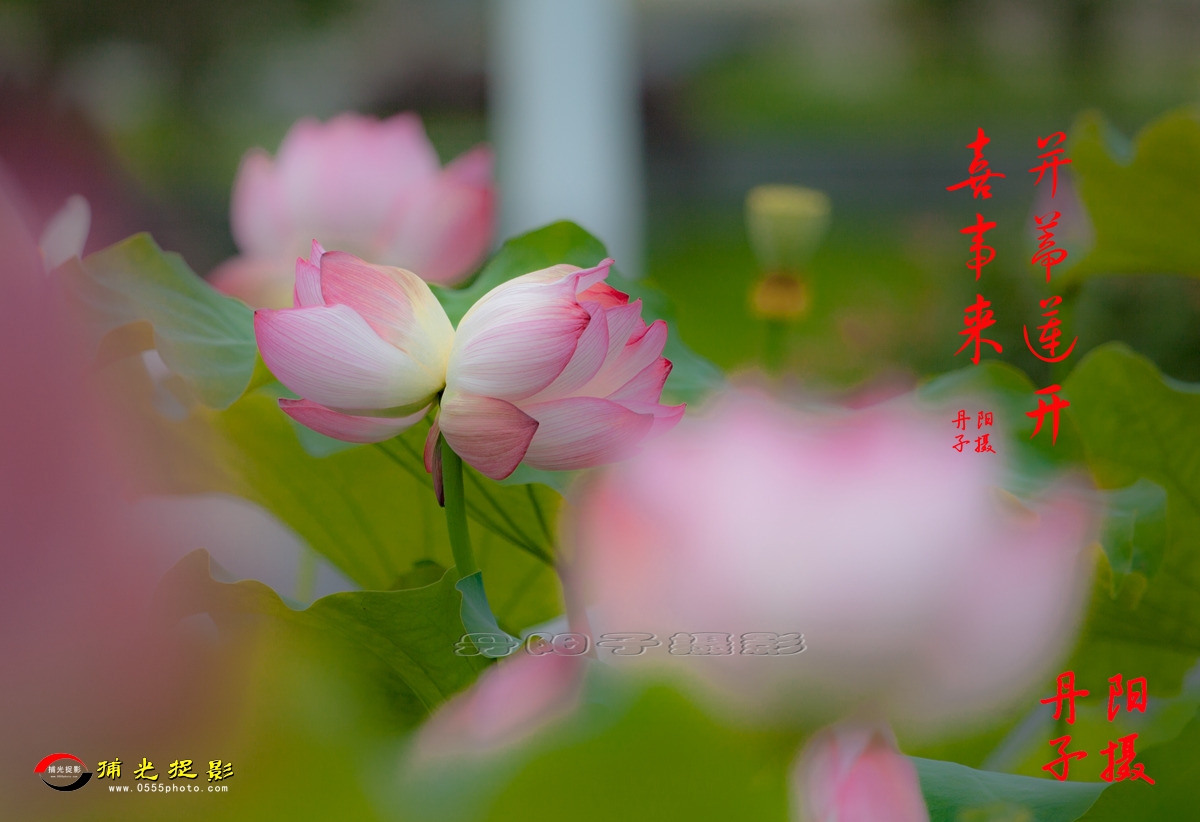 IMG_1778-1_副本.jpg